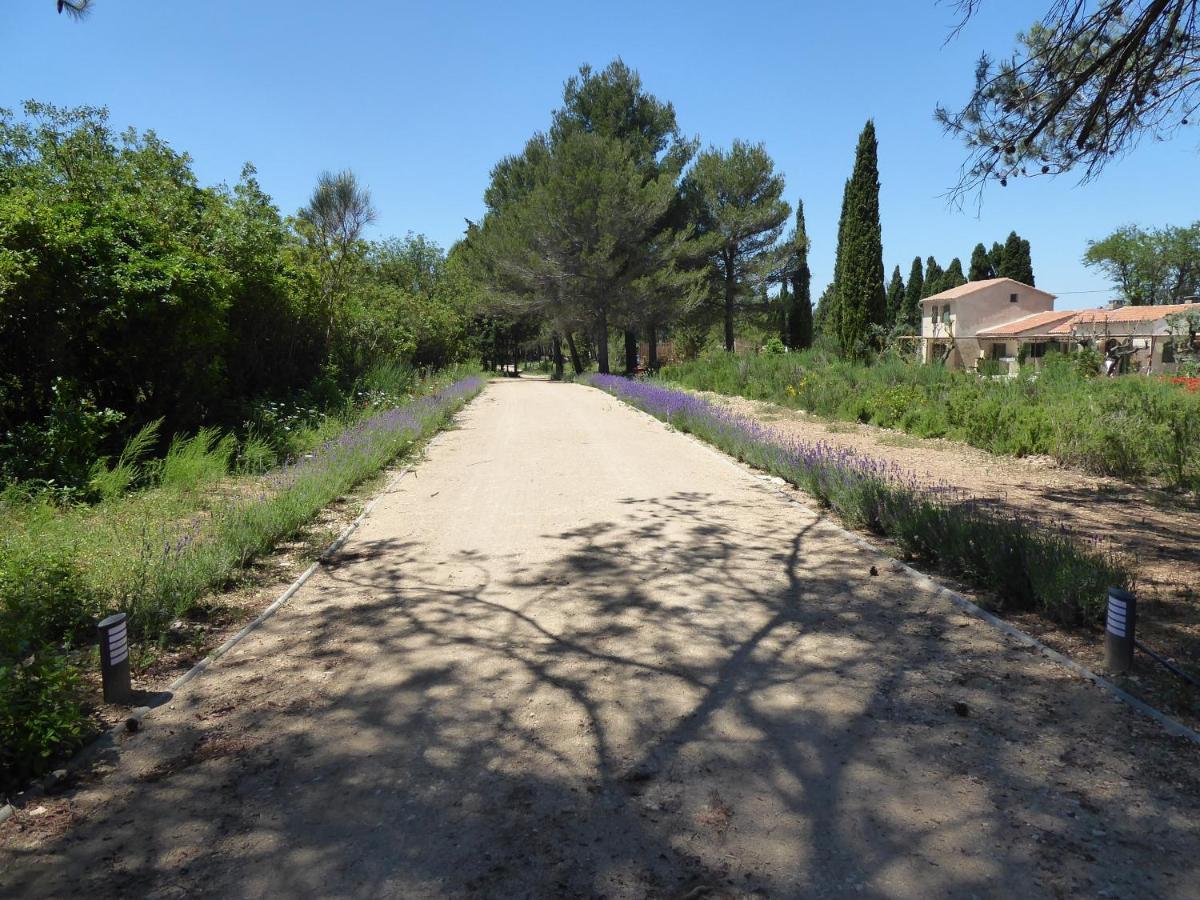 Mas De La Cadeniere Villa Saint-Rémy-de-Provence Екстериор снимка