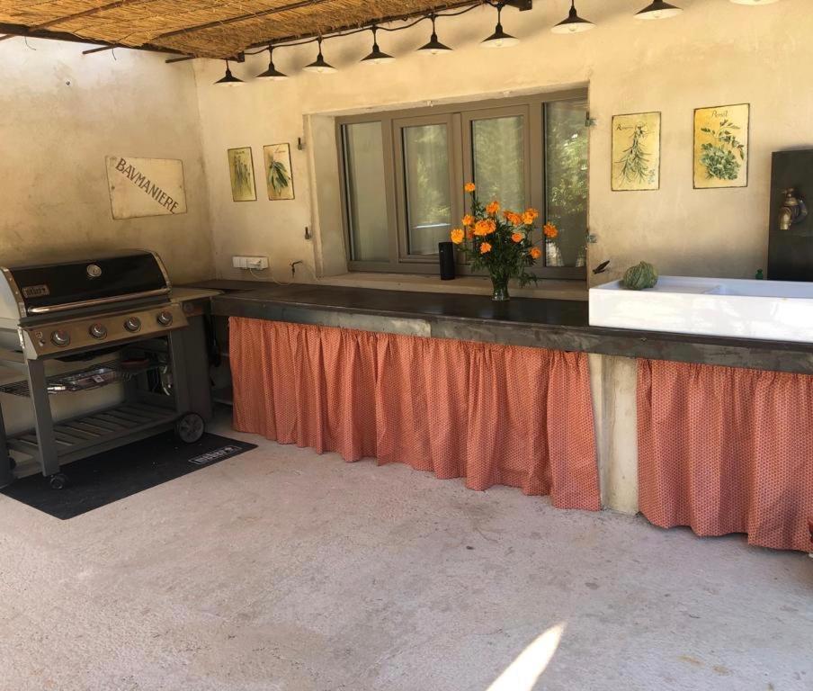 Mas De La Cadeniere Villa Saint-Rémy-de-Provence Екстериор снимка